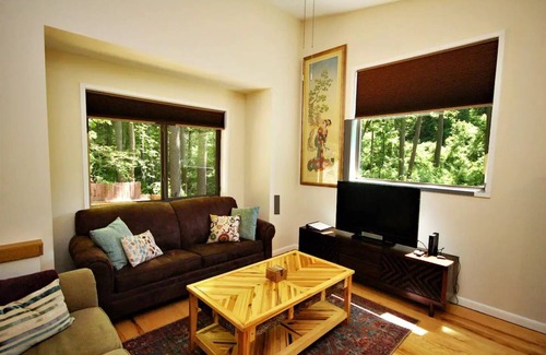 Weaverville Cottage | Sunshine Daydream Cottage-Natural Setting in Town