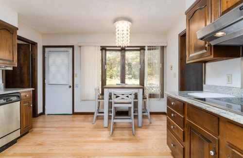 Pisgah Forest House | Sunshine Daydream