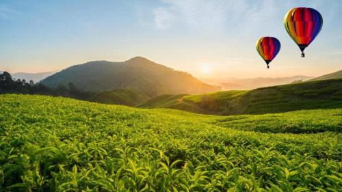 Sigiriya Hotel | Sunshine Resort & Spa Sigiriya