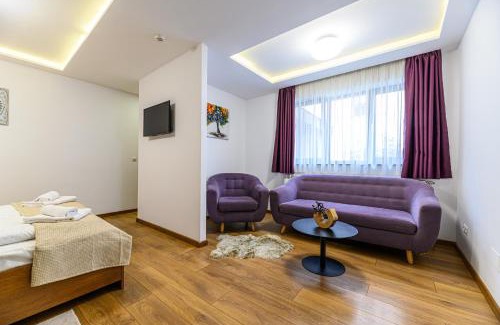 Brasov Villa | SunShine Villa Brasov