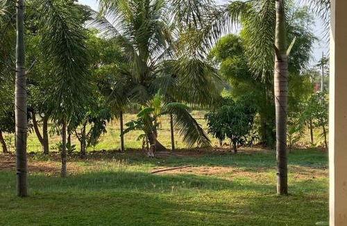 Rambewa Resort | Sunway Family Resort