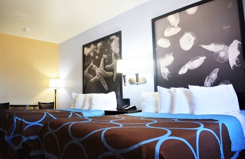 Galveston Hotel | Super 8 by Wyndham Galveston