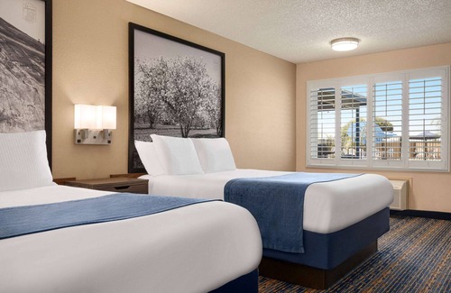 Lindsay Hotel | Super 8 by Wyndham Lindsay Olive Tree