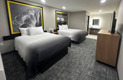 Lubbock Hotel | Super 8 BY Wyndham Lubbock Airport