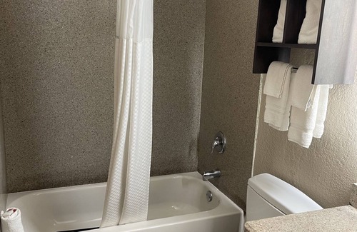 San Antonio Hotel | Super 8 by Wyndham San Antonio Downtown NE