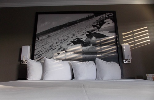 Beach Hill - Beach Flats Hotel | Super 8 by Wyndham Santa Cruz Beach Boardwalk