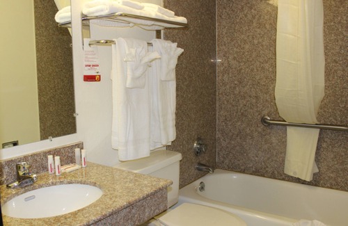 Tuscaloosa Hotel | Super 8 by Wyndham Tuscaloosa