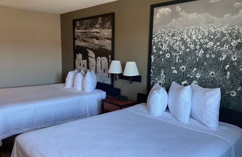 Southeast Colorado Springs Hotel | Super 8 by Wyndham Colorado Springs Airport