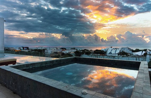 Ejidal Apartment | Super chic studio one block from the famous 5ta Ave.n