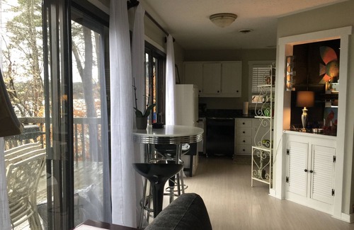 Gainesville Ski Chalet | Super clean Cabin on the Lake!