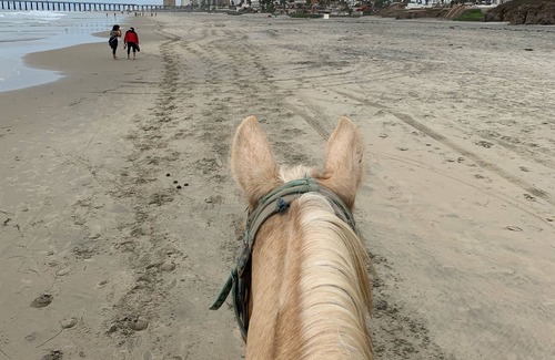 Rosarito RV Rental | Super Cool Ocean View Camping