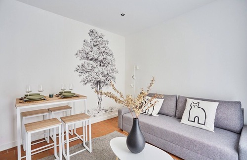 Paris City Center Apartment | Superb Apartment Louvre Museum 2 Bedrooms