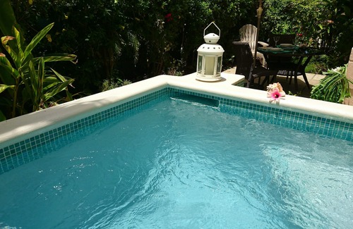 Enterprise House | Superb house close to the beautiful Caribbean sea. NEW - stunning plunge pool