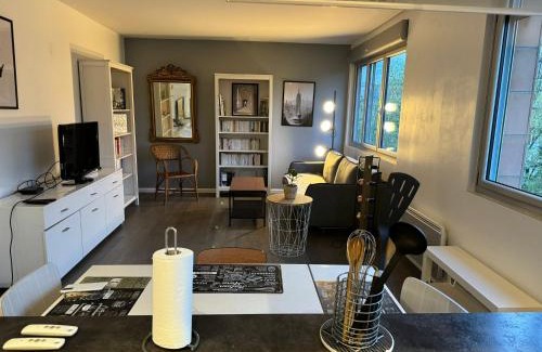 Combat Apartment | Superbe appartement Paris Centre - Buttes Chaumont