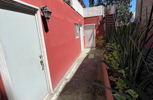 Del Carmen Apartment | SuperHost Coyoacan nice apartment in the heart of Mexico City
