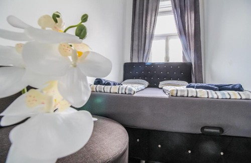 Liesing Apartment | Superior Double room LV