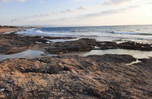 Bustan HaGalil House | Superior place A place in nature