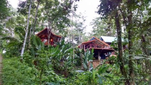 Bocas del Toro Bed & Breakfast | Surf Break at Paunch
