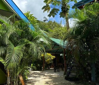 Carmen Hotel | Surf Paradise