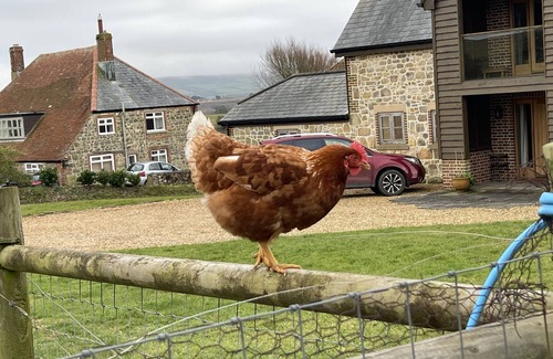 Shorwell Cottage | Surf Shack, 1-Bed Cottage, Sleeps 2, Pet Friendly