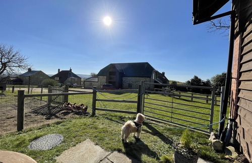 Shorwell Cottage | Surf Shack, 1-bed Cottage, Sleeps 2, Pet Friendly