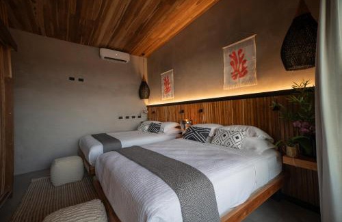 Jaco Cabin | Surf Synergy All-Inclusive Surf and Wellness Retreat