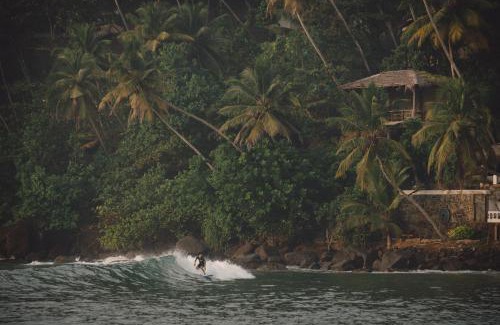 Midigama Hotel | Surfescape Sri Lanka