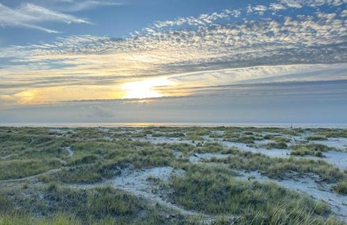 Seaside House | Surfside Cottage - Seaside Pets allowed