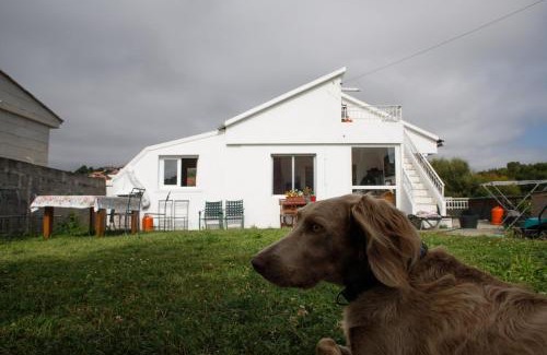 A Porqueira House | Surfside Patos