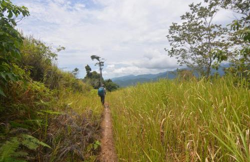 South Aceh Other | Survival Trip Leuser Eco Stay