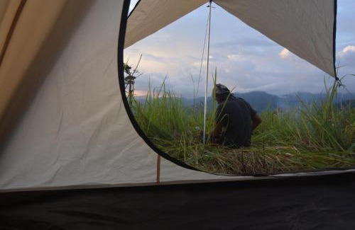 South Aceh Other | Survival Trip Leuser Eco Stay