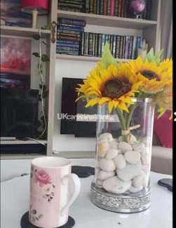 Rhyd-y-clafdy Apartment | Susie's Beautiful Caravan near the sea