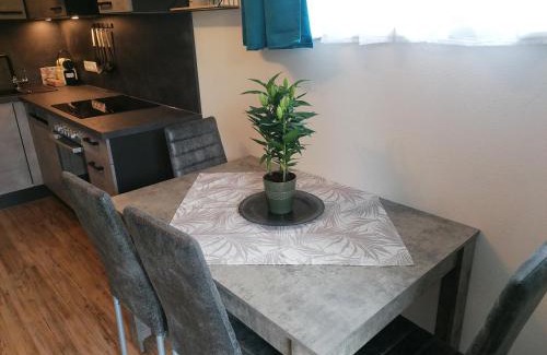Radstadt Apartment | Susis Ferienwohnung