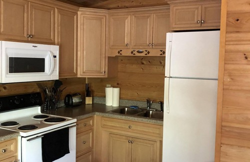 Branford Cabin | 'Suwannee River Tranquility' from $180/Night for 4 People!'
