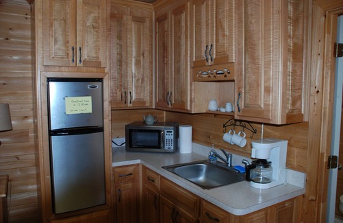 Branford Cabin | 'Suwannee River Tranquility' from $180/Night for 4 People!'