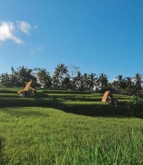 Sebatu Other | Swaha Retreat & Eco Park Ubud