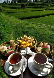 Sebatu Other | Swaha Retreat & Eco Park Ubud