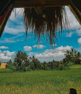 Sebatu Other | Swaha Retreat & Eco Park Ubud