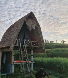 Sebatu Other | Swaha Retreat & Eco Park Ubud