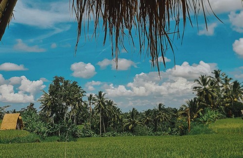 Sebatu Villa | Swaha Retreat & Eco Park Ubud