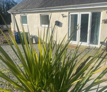 Llangefni House | Swallow Bach