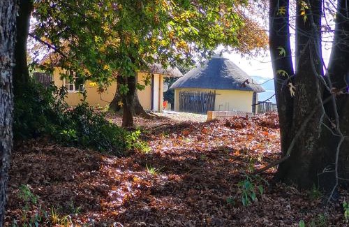 Cathkin Park House | Swallowfield Rondavels