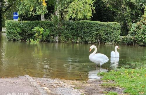 Kidlington House | Swan Cottage, 5-Bedroom, Canal View, River, Private gardens, Free Parking's, WiFi, Oxford