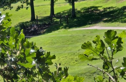 Table Rock Apartment | Swan's Couples Getaway Condo