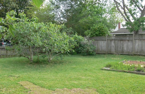 Swansboro Cottage | Swansboro Historic District -Walk To The Water/Restaurants