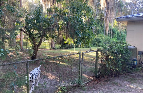 Gainesville House | Sweet 3/2 Newnans Lake Home in Gainesville, FL.