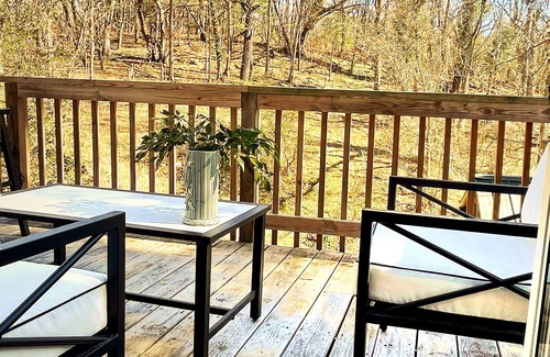 Staunton House | Sweet Darling House: Enchanting historic home; walkable to downtown