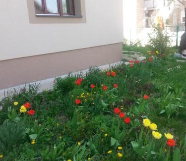 Arandelovac Apartment | Sweet Dreams Apartment