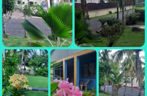 Corn Island Apartment | Sweet Little Rock