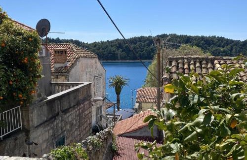 Cavtat Old Town House | Sweet Old Stone House Cavtat